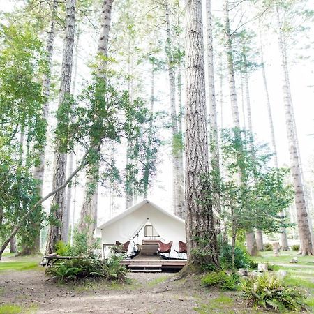 فندق Mendocino Grove المظهر الخارجي الصورة