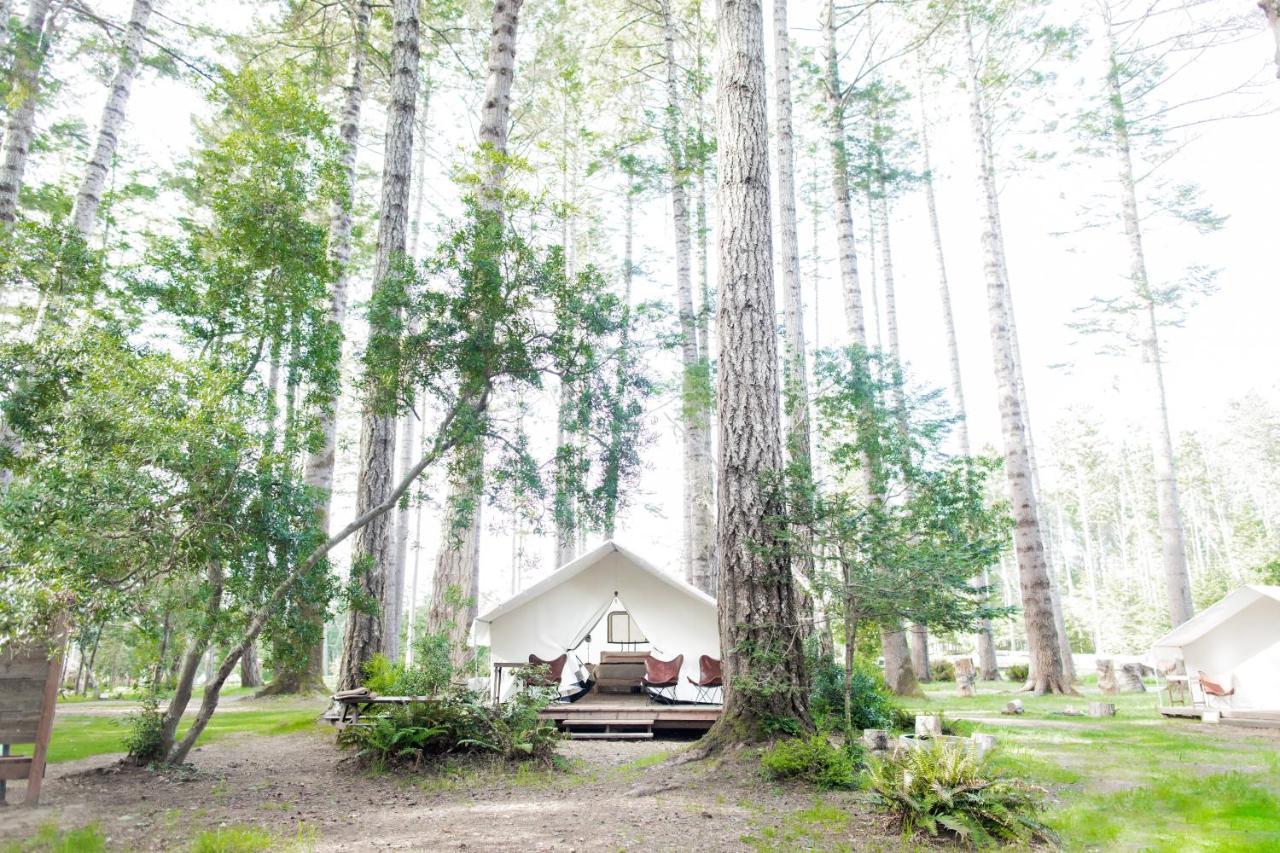 فندق Mendocino Grove المظهر الخارجي الصورة