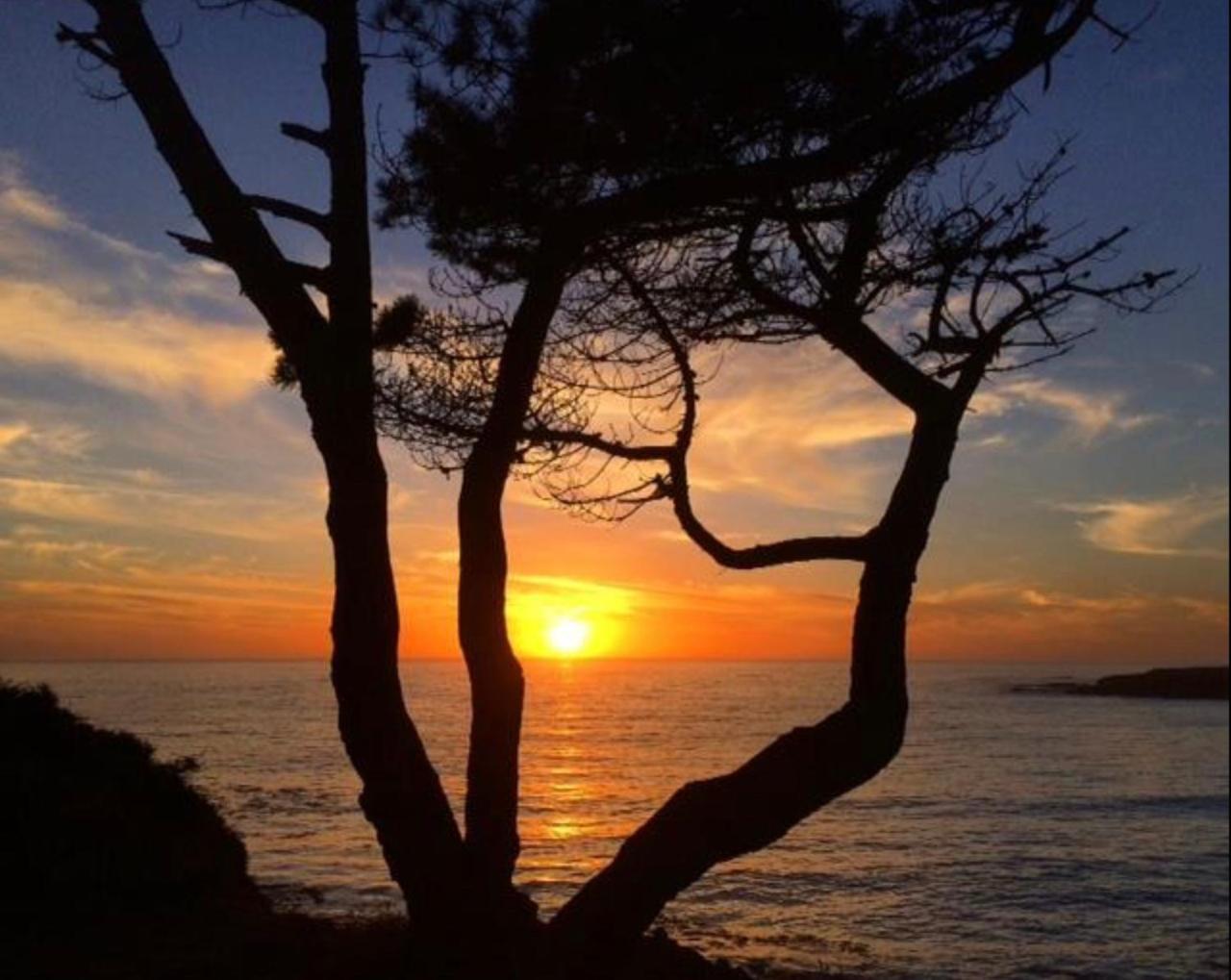 فندق Mendocino Grove المظهر الخارجي الصورة