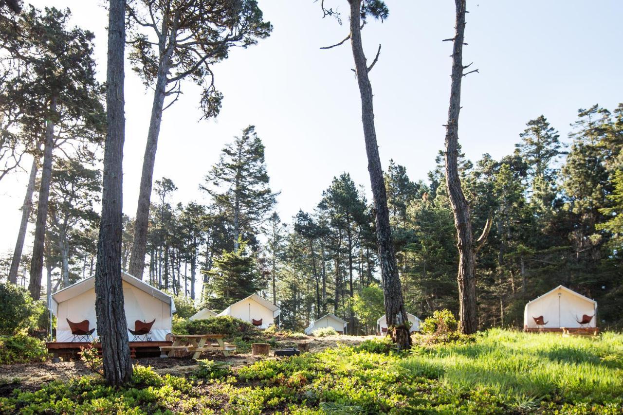 فندق Mendocino Grove المظهر الخارجي الصورة